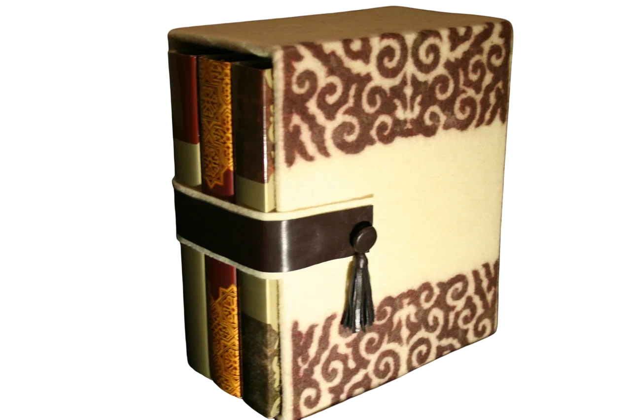 Айгуль Жансерикова