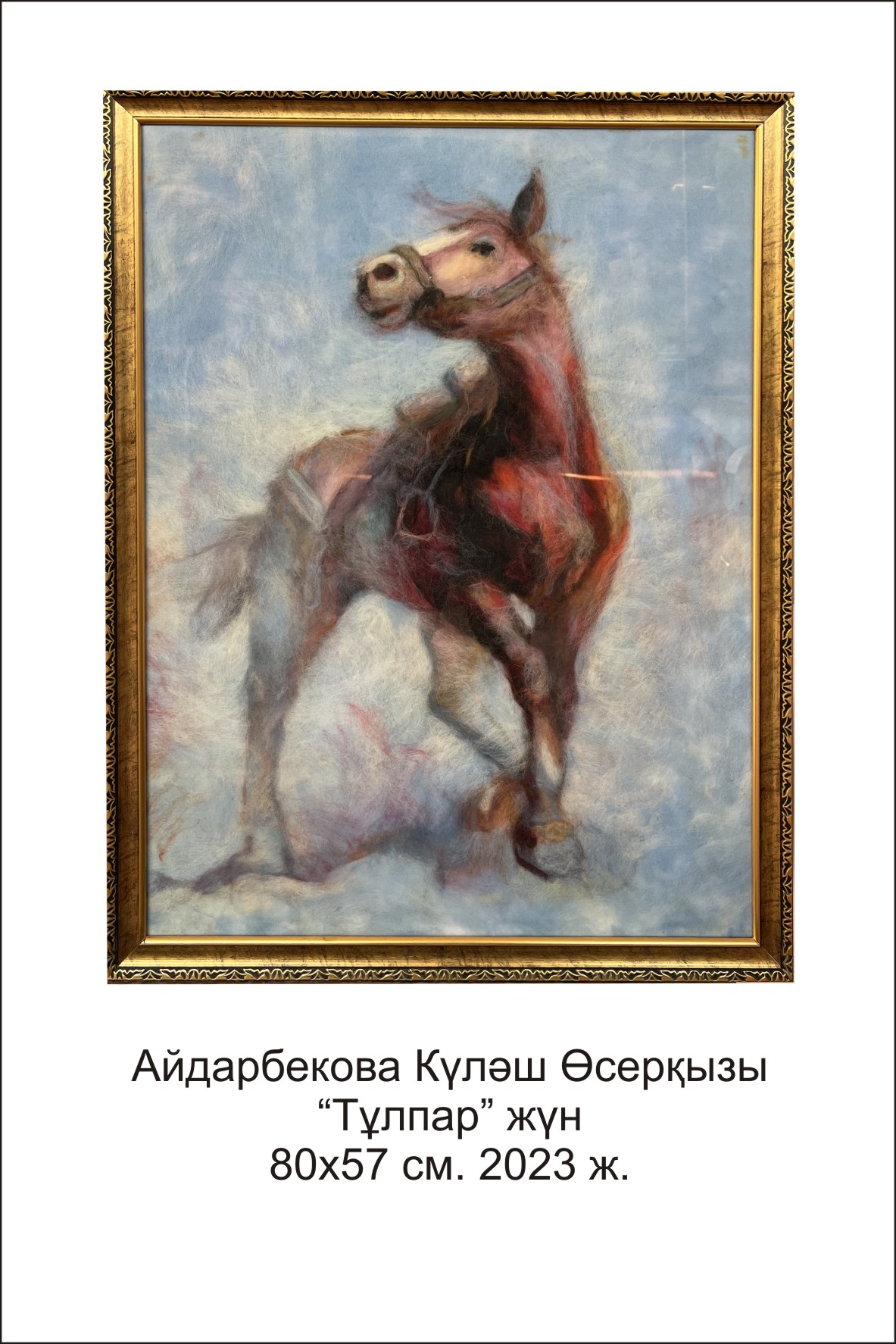 Куляш Айдарбекова