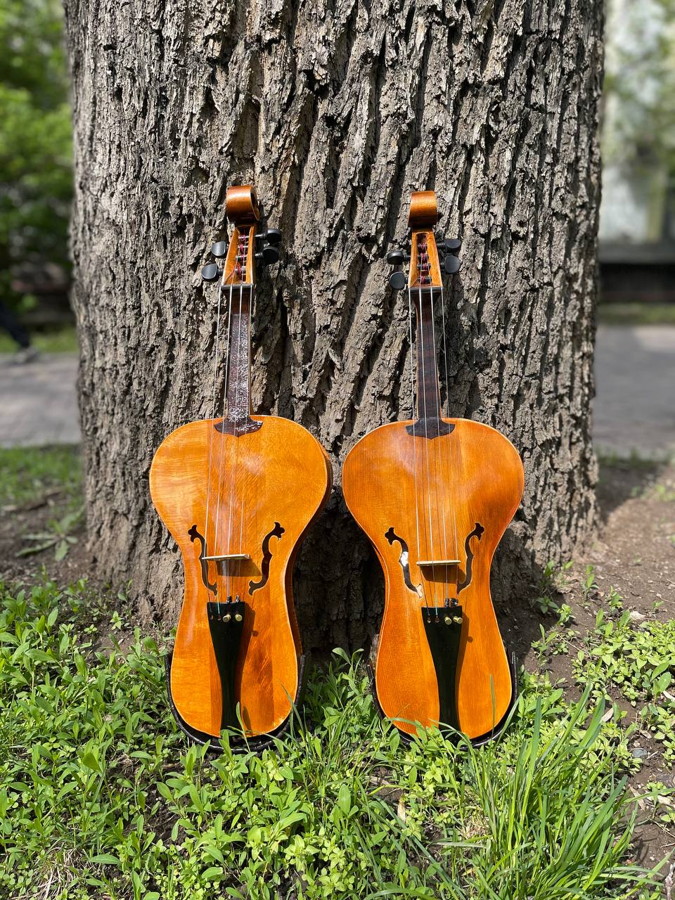 Алмас Мустафаев